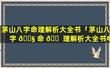茅山八字命理解析大全书「茅山八字 🐧 命 🐠 理解析大全书电子版」